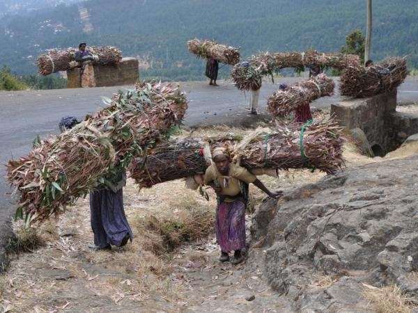 Na cestě po Hararsku