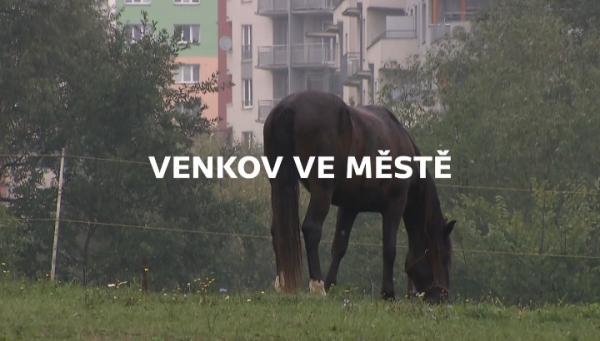 Venkov ve městě