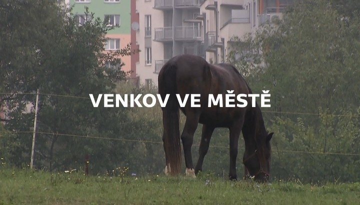 Documentary Venkov ve městě