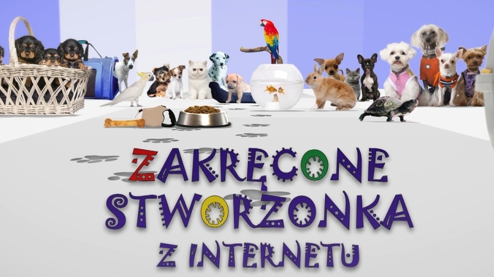 Zakręcone stworzonka z internetu 3