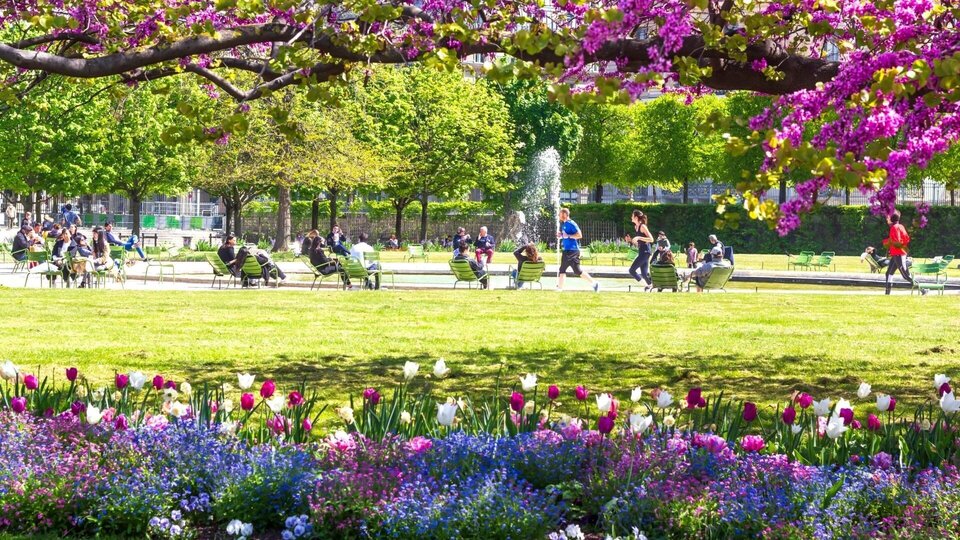Dokument Paris côté jardins