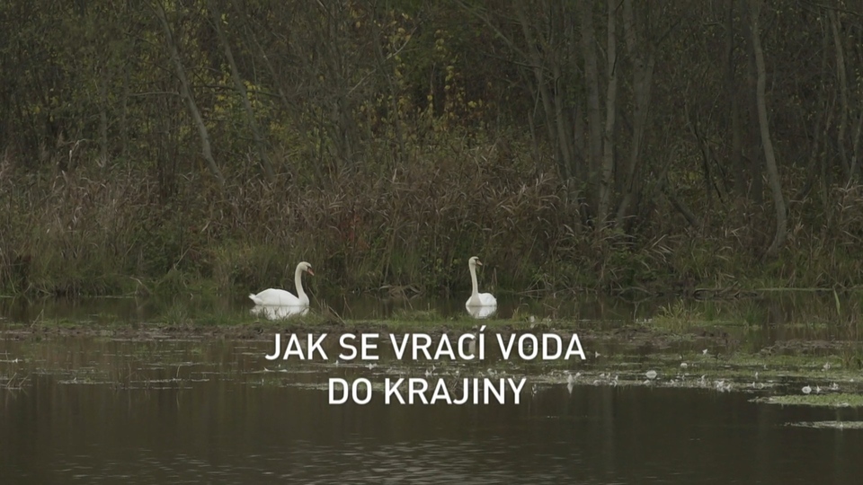 Dokument Jak se vrací voda do krajiny