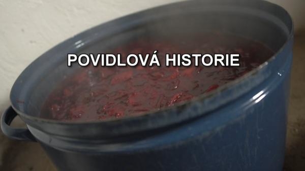 Povidlová historie