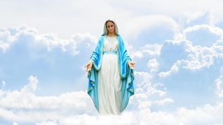 Marija suotkupiteljica