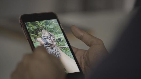 Příroda na kliknutí