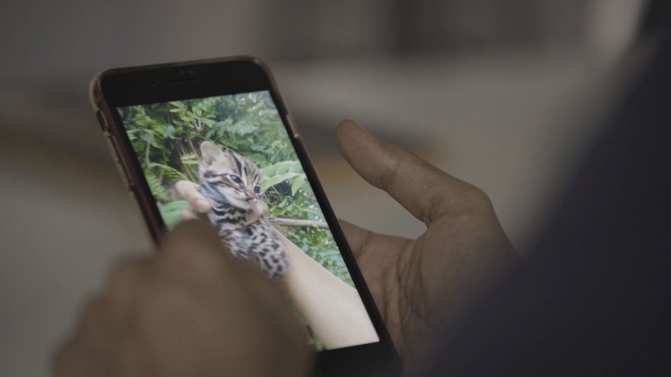 Документ Příroda na kliknutí