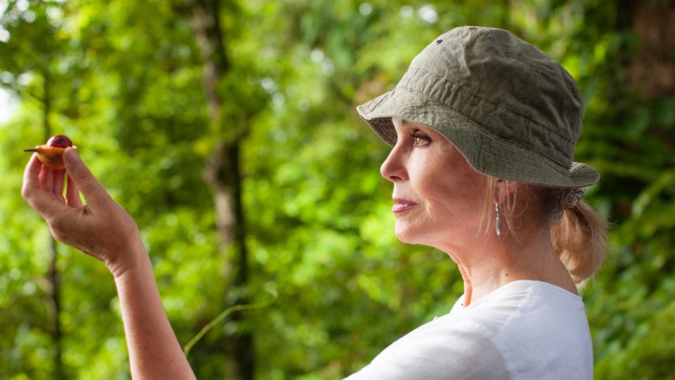 1434 TV dokumentarci online