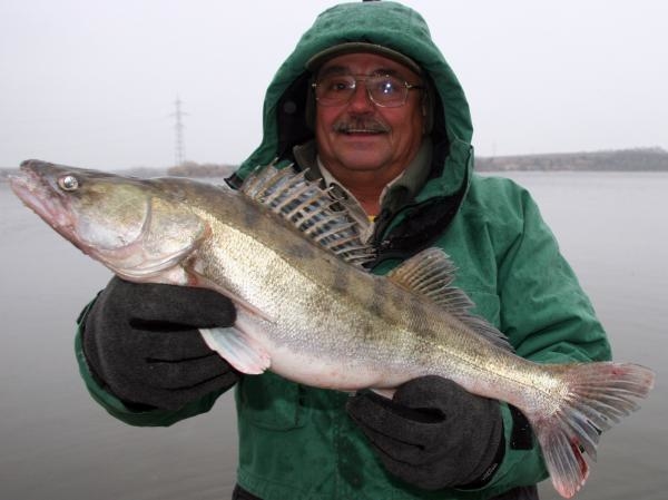 Hodula Fishing - Dravci uprostřed Balatonu