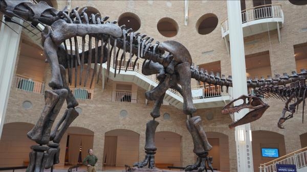 Drevna Zemlja - Dinosauri zaleđenog kontinenta