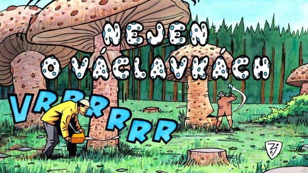 Nejen o václavkách