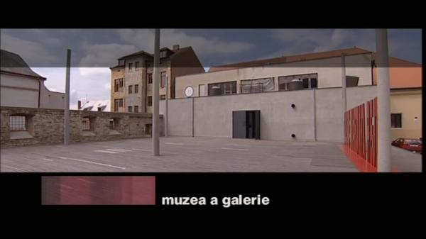 Muzea a galerie