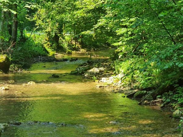 Slovenska vodna područja