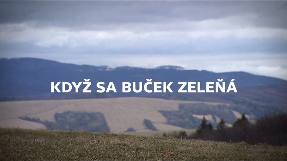 Dokument Když sa buček zeleňá