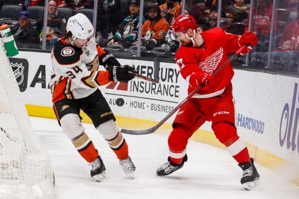 Anaheim Ducks - Detroit Red Wings