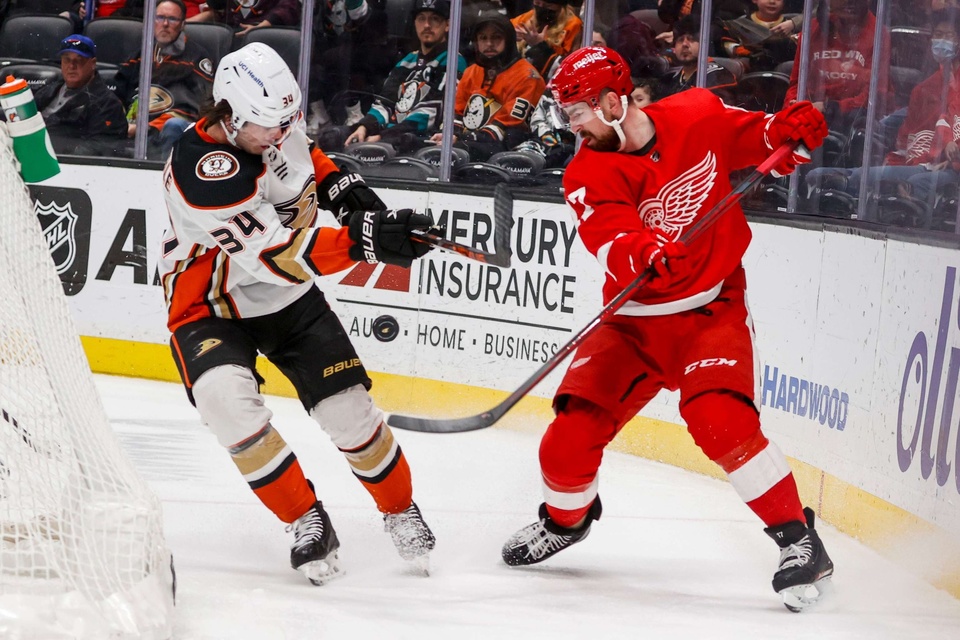 Anaheim Ducks - Detroit Red Wings