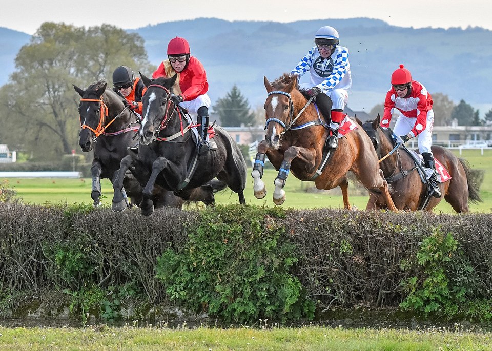 Dostihy: Závěrečná steeplechase