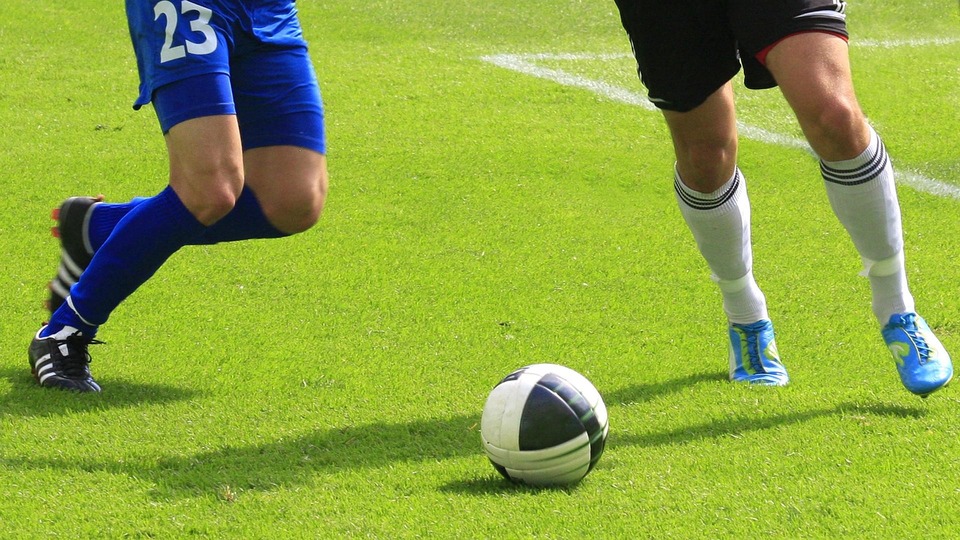 Piłka nożna: Liga portugalska - mecz: FC Alverca - FC Porto