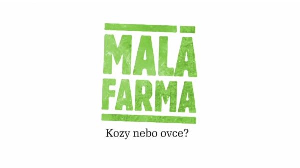 Kozy nebo ovce?