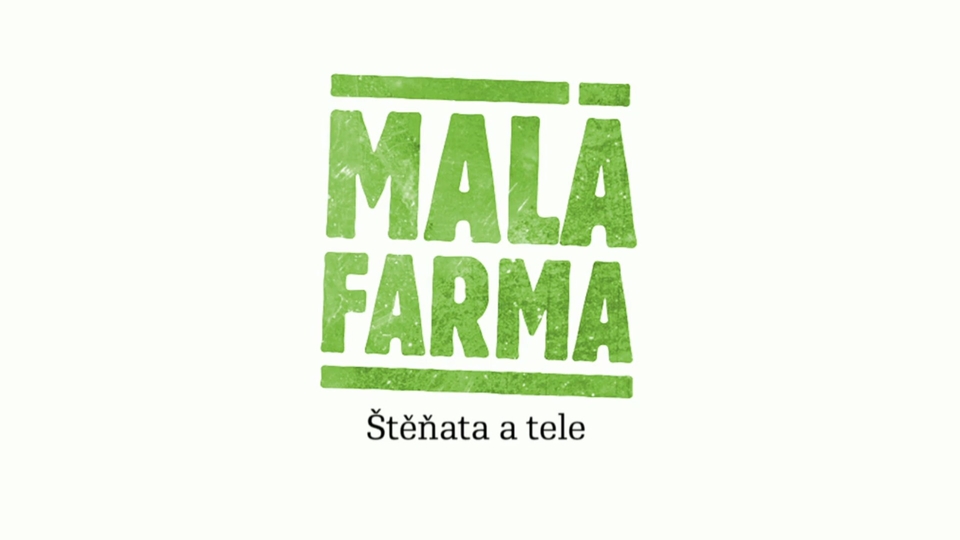Štěňata a tele