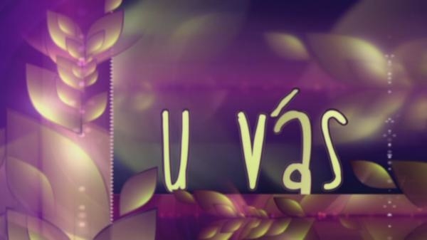 U VÁS aneb festivalové kukátko