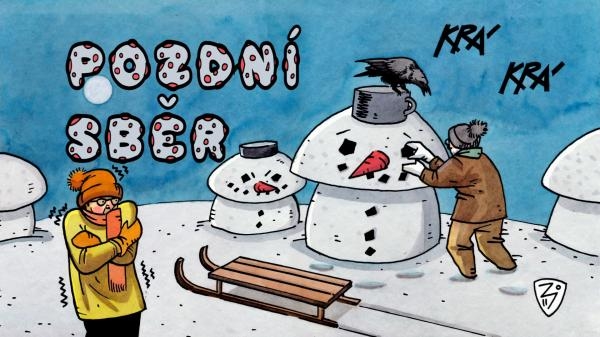 Pozdní sběr