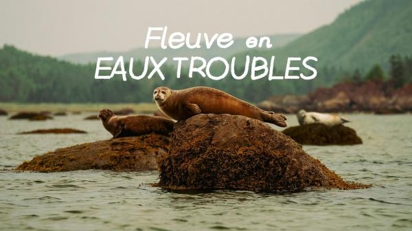 Fleuve En Eaux Troubles