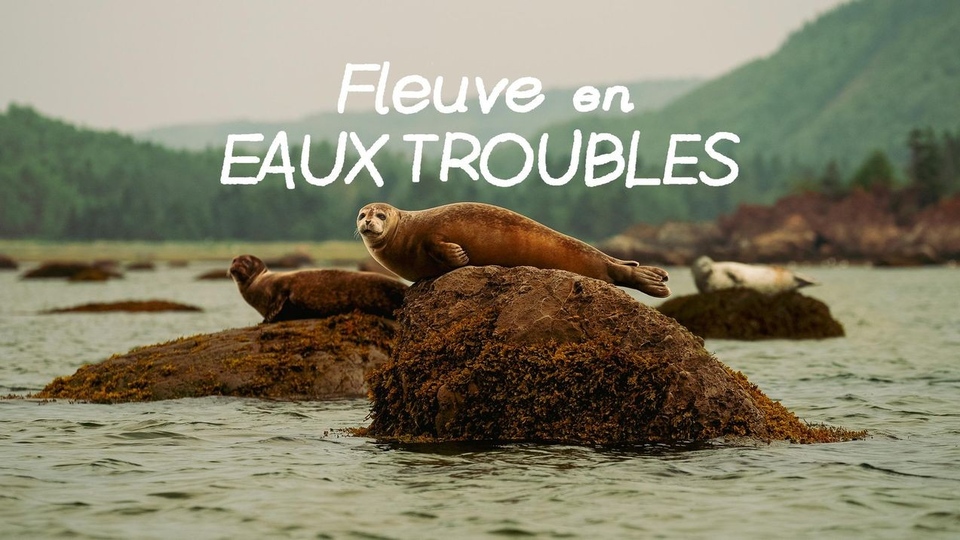 Документ Fleuve En Eaux Troubles