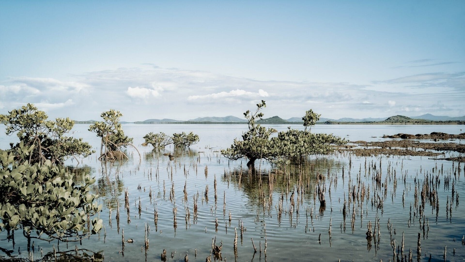 Documentary Nouvelle-Calédonie, terres d'avenir
