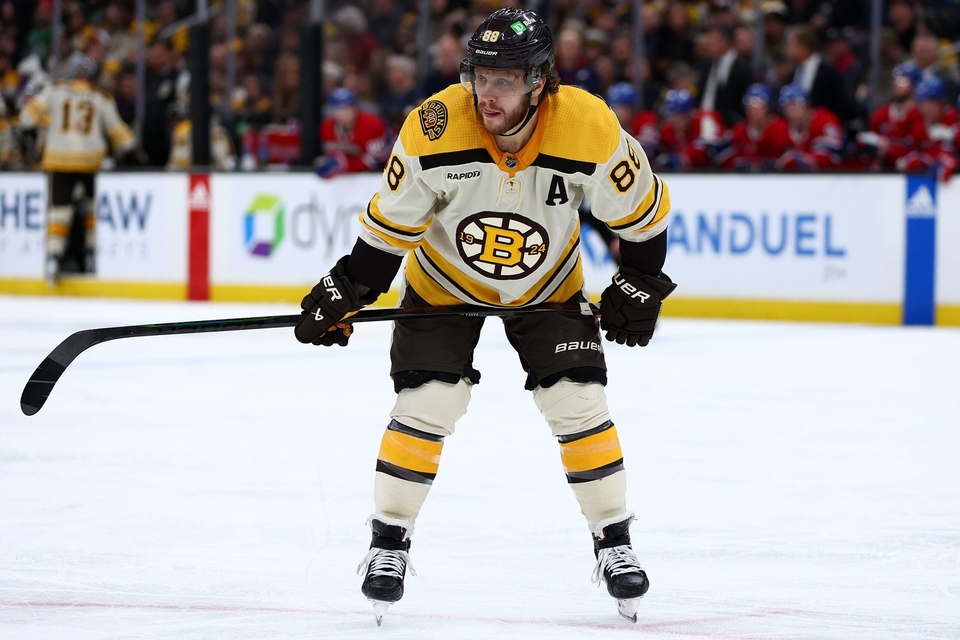 Češi v NHL v sezoně 2023/24