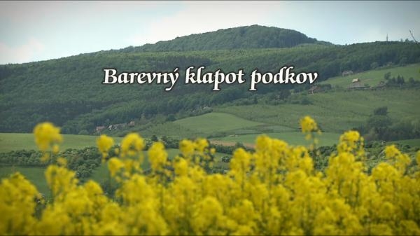Barevný klapot podkov