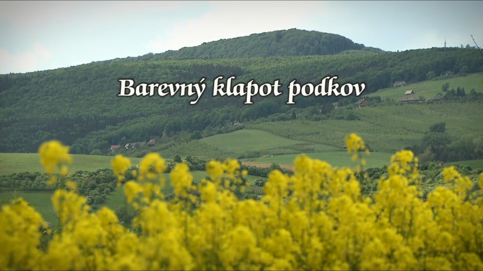 Dokument Barevný klapot podkov
