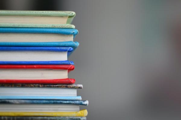 Obrazovni program (22h)