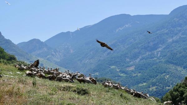 Velika mala zemlja
