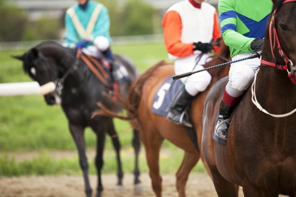 Klusáci: St. Leger - Velká cena primátora hlavního města Prahy