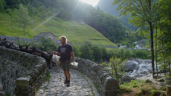 Svijet mostova: Čelični mostovi