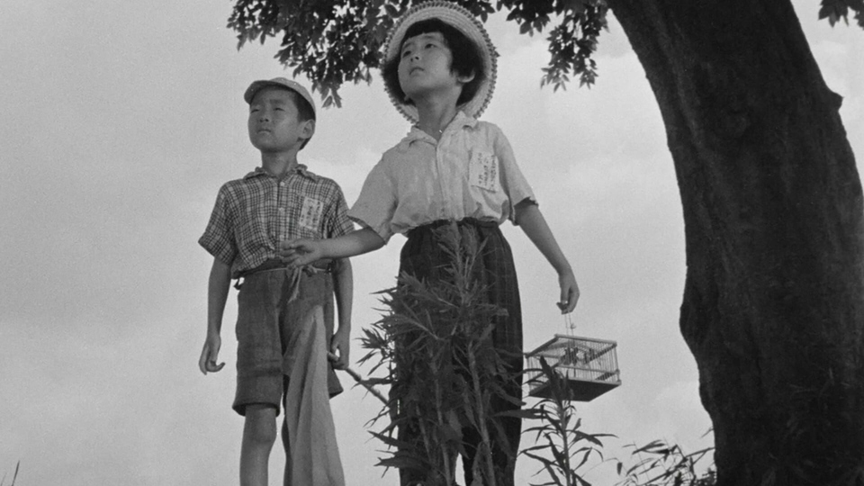 The best japanese drama movies from 50's online
