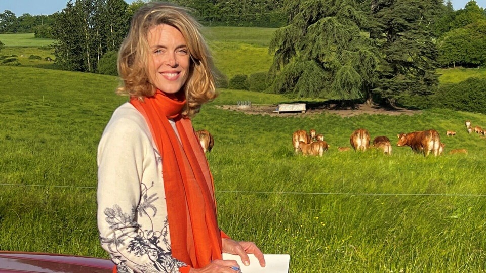 Les carnets de Julie