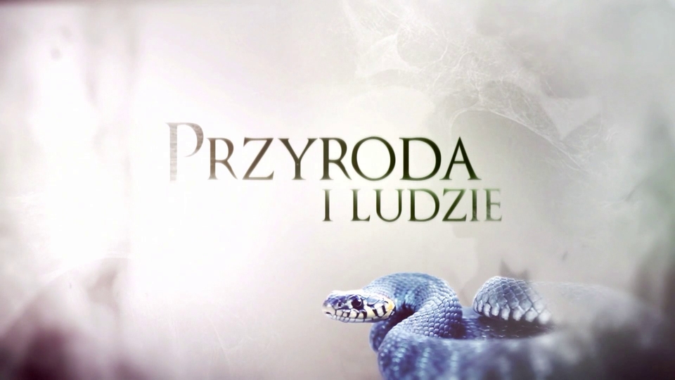 Dokument Przyroda i ludzie