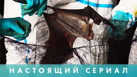 Nastoyashhiy serial: Fabrika virusov