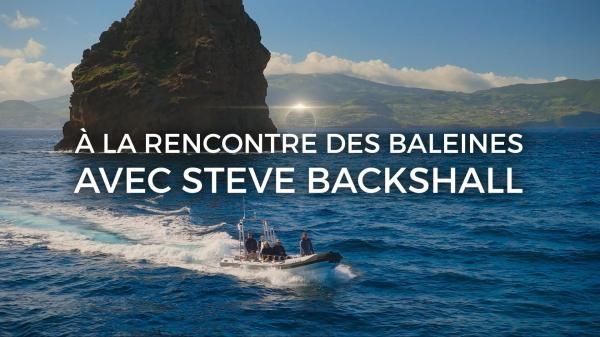 A la rencontre des baleines avec Steve Backshall