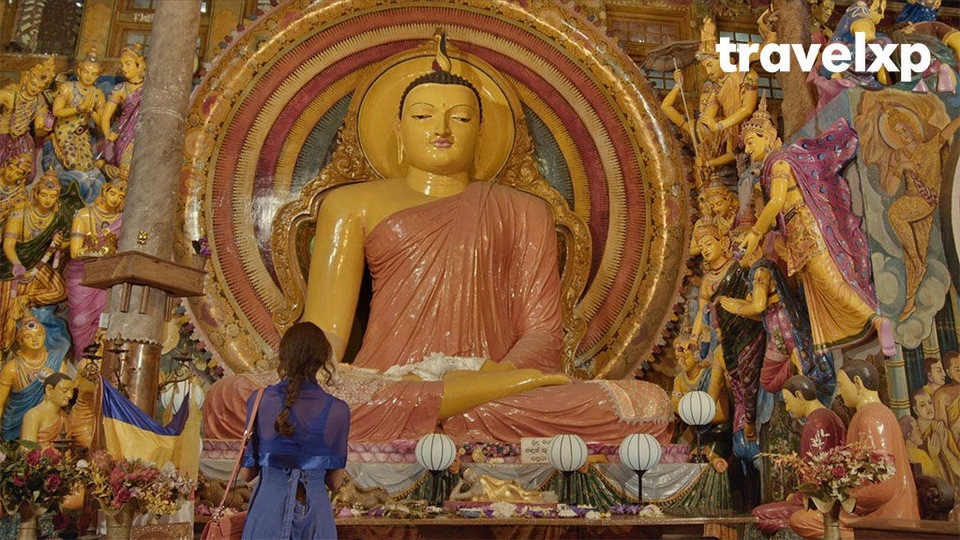 Документ 10 Days Sri Lanka