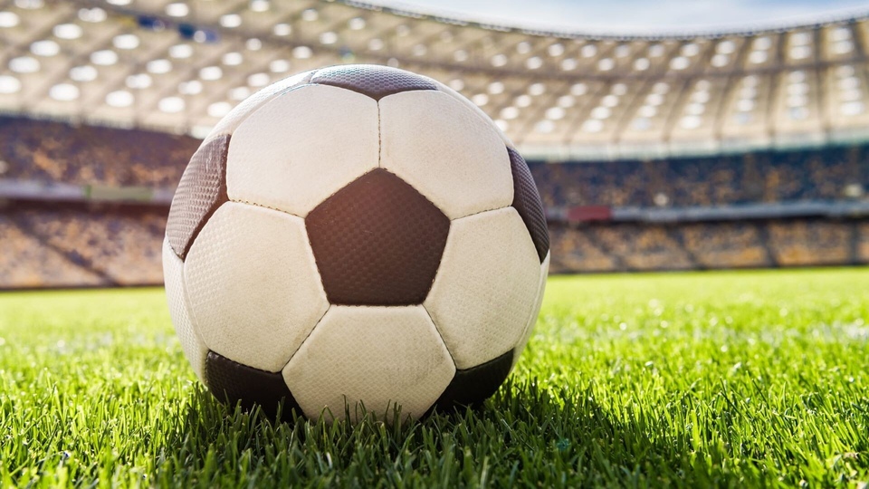 Kings World Cup Nations: France / Pologne