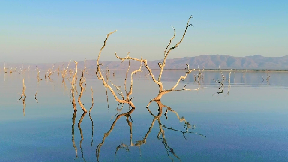 Dokument Le Zambeze, fleuve sauvage d'Afrique