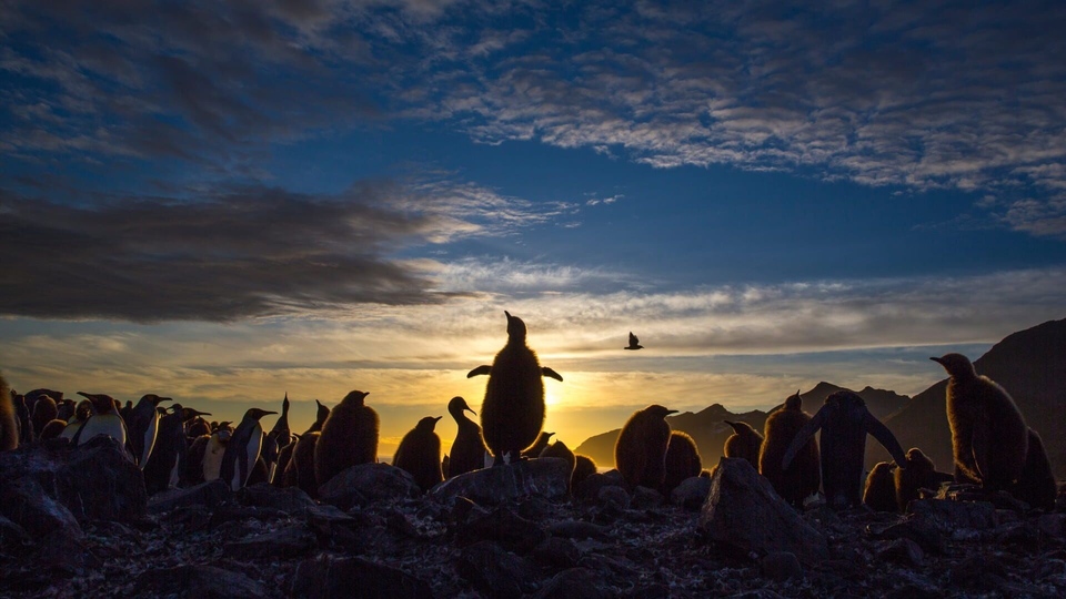 Найкращі китайські природа онлайн