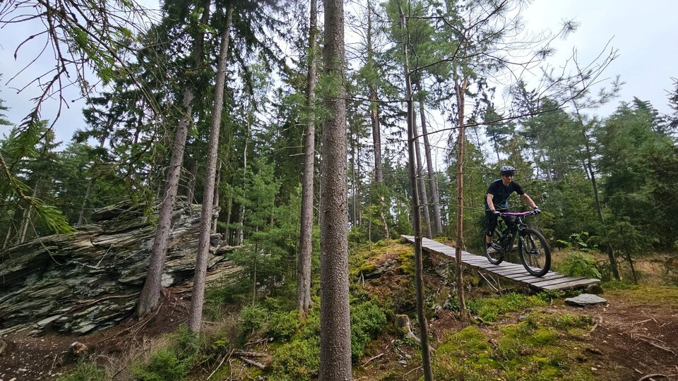 TRAIL HUNTER