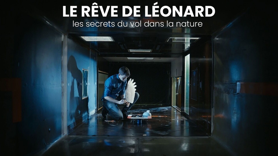Dokument Le reve de Léonard: les secrets du vol dans la nature