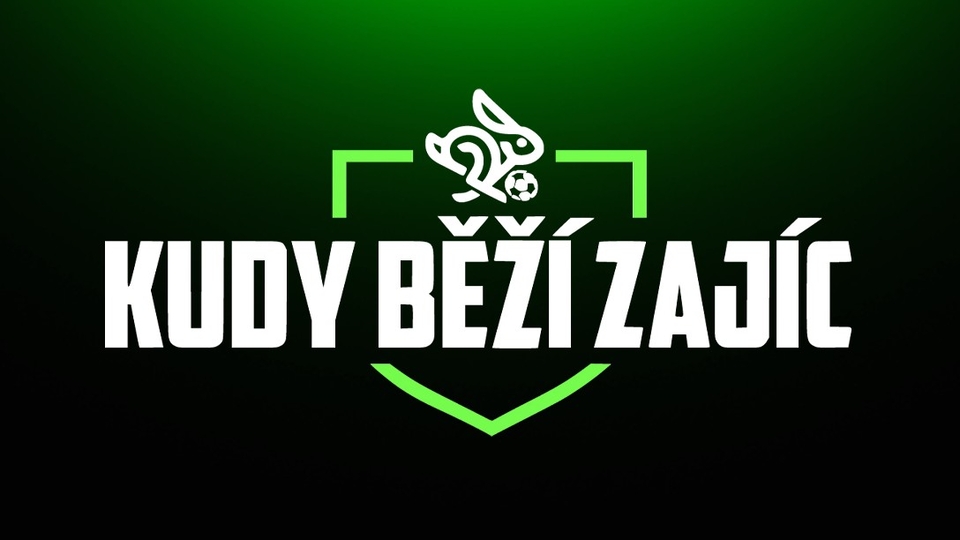 Zajíc v&nbsp;obýváku
