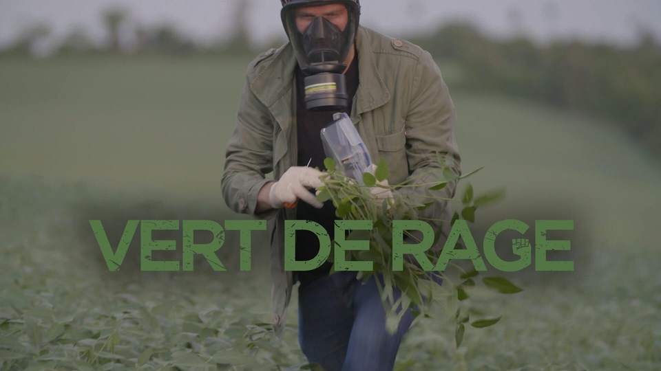 Документ Vert de rage