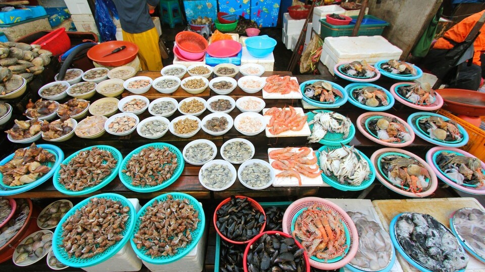Dokument Corée du Sud, leçons de gastronomie