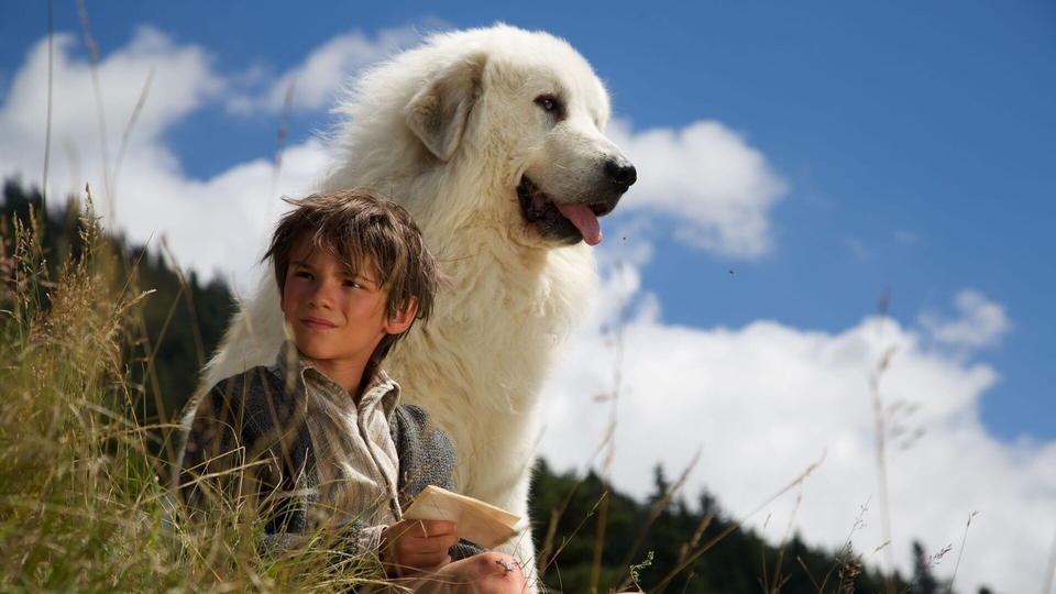 Film Belle et Sébastien, l'aventure continue